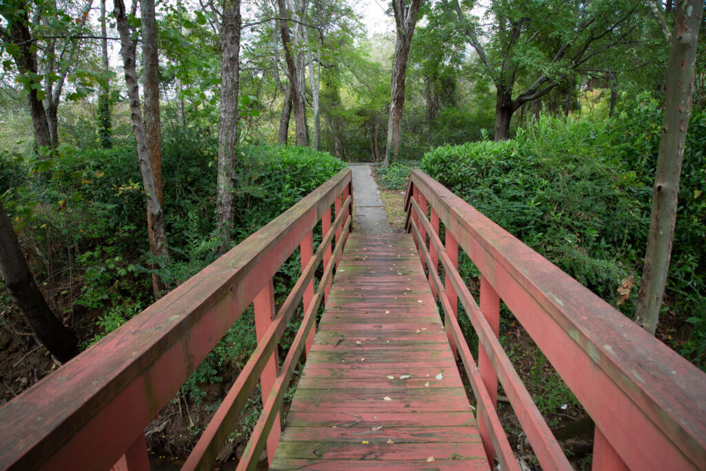 191020_054-Copy-scaled-1 | We Are Cumberland